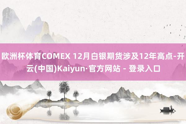 欧洲杯体育COMEX 12月白银期货涉及12年高点-开云(中国)Kaiyun·官方网站 - 登录入口