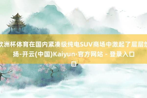 欧洲杯体育在国内紧凑级纯电SUV商场中激起了层层悠扬-开云(中国)Kaiyun·官方网站 - 登录入口