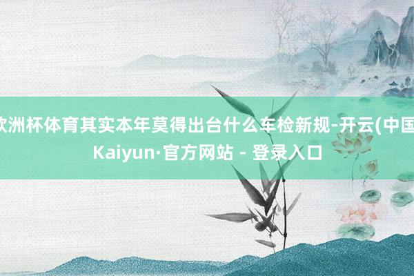 欧洲杯体育其实本年莫得出台什么车检新规-开云(中国)Kaiyun·官方网站 - 登录入口
