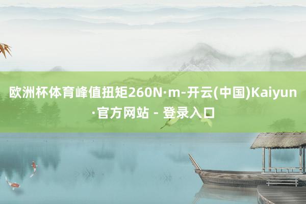 欧洲杯体育峰值扭矩260N·m-开云(中国)Kaiyun·官方网站 - 登录入口