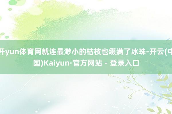 开yun体育网就连最渺小的枯枝也缀满了冰珠-开云(中国)Kaiyun·官方网站 - 登录入口