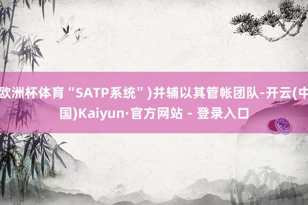 欧洲杯体育“SATP系统”)并辅以其管帐团队-开云(中国)Kaiyun·官方网站 - 登录入口