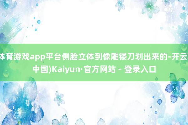 体育游戏app平台侧脸立体到像雕镂刀划出来的-开云(中国)Kaiyun·官方网站 - 登录入口
