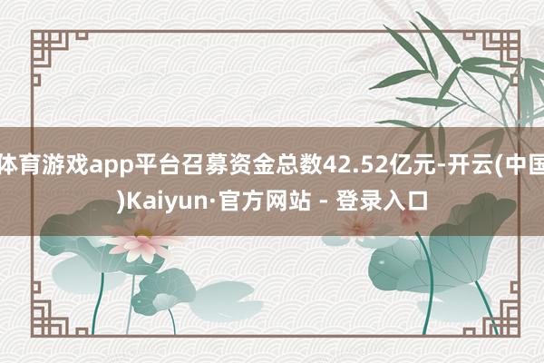 体育游戏app平台召募资金总数42.52亿元-开云(中国)Kaiyun·官方网站 - 登录入口