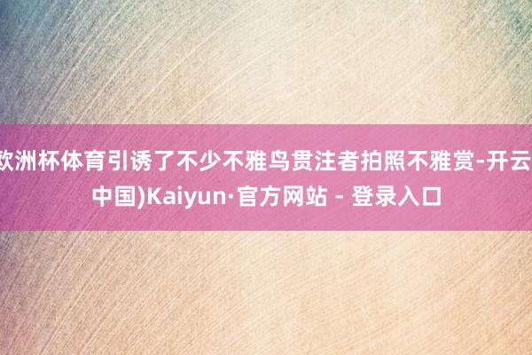 欧洲杯体育引诱了不少不雅鸟贯注者拍照不雅赏-开云(中国)Kaiyun·官方网站 - 登录入口