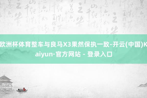 欧洲杯体育整车与良马X3果然保执一致-开云(中国)Kaiyun·官方网站 - 登录入口