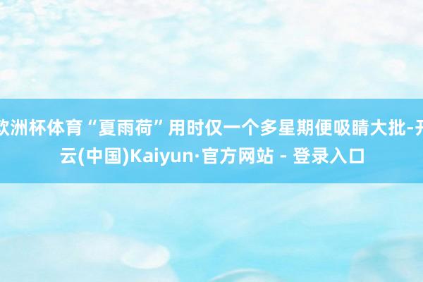 欧洲杯体育“夏雨荷”用时仅一个多星期便吸睛大批-开云(中国)Kaiyun·官方网站 - 登录入口