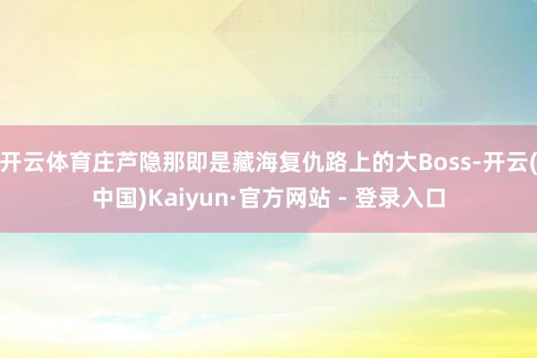 开云体育庄芦隐那即是藏海复仇路上的大Boss-开云(中国)Kaiyun·官方网站 - 登录入口