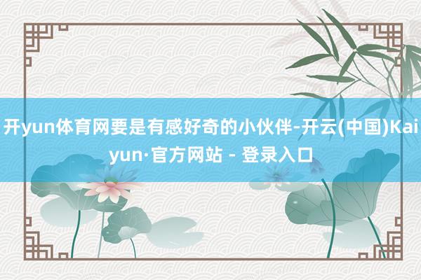 开yun体育网要是有感好奇的小伙伴-开云(中国)Kaiyun·官方网站 - 登录入口