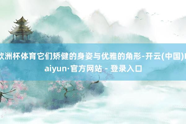 欧洲杯体育它们矫健的身姿与优雅的角形-开云(中国)Kaiyun·官方网站 - 登录入口