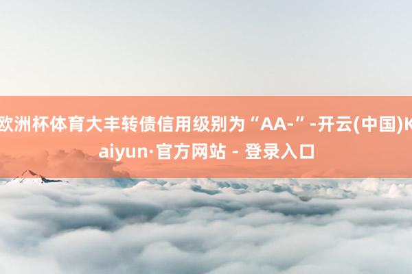 欧洲杯体育大丰转债信用级别为“AA-”-开云(中国)Kaiyun·官方网站 - 登录入口