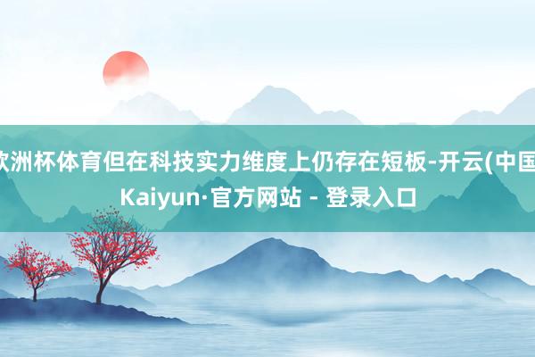欧洲杯体育但在科技实力维度上仍存在短板-开云(中国)Kaiyun·官方网站 - 登录入口
