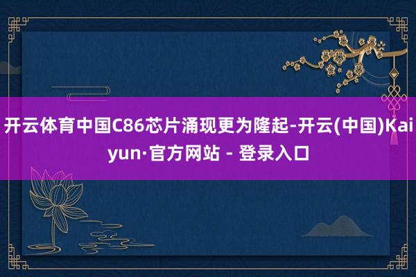 开云体育中国C86芯片涌现更为隆起-开云(中国)Kaiyun·官方网站 - 登录入口