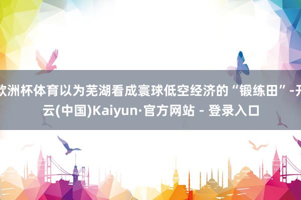 欧洲杯体育以为芜湖看成寰球低空经济的“锻练田”-开云(中国)Kaiyun·官方网站 - 登录入口