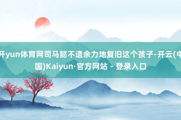 开yun体育网司马懿不遗余力地复旧这个孩子-开云(中国)Kaiyun·官方网站 - 登录入口
