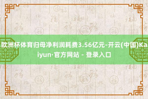 欧洲杯体育归母净利润耗费3.56亿元-开云(中国)Kaiyun·官方网站 - 登录入口