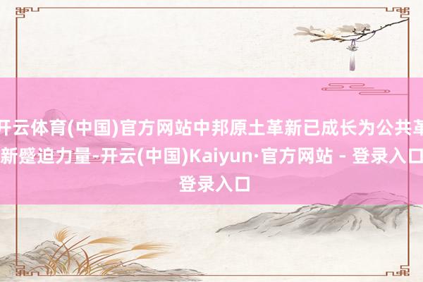 开云体育(中国)官方网站中邦原土革新已成长为公共革新蹙迫力量-开云(中国)Kaiyun·官方网站 - 登录入口