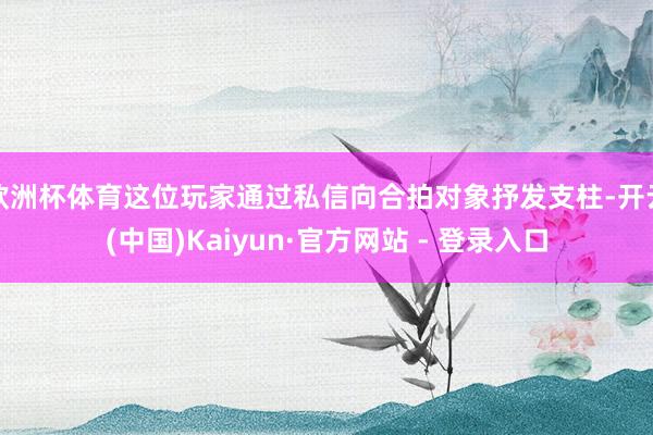 欧洲杯体育这位玩家通过私信向合拍对象抒发支柱-开云(中国)Kaiyun·官方网站 - 登录入口