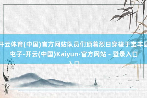 开云体育(中国)官方网站队员们顶着烈日穿梭于宝丰县屯子-开云(中国)Kaiyun·官方网站 - 登录入口
