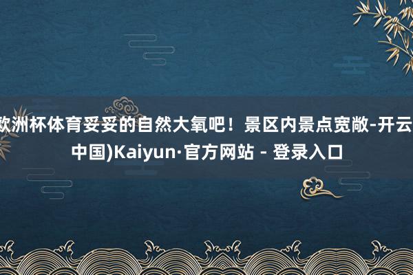 欧洲杯体育妥妥的自然大氧吧!景区内景点宽敞-开云(中国)Kaiyun·官方网站 - 登录入口