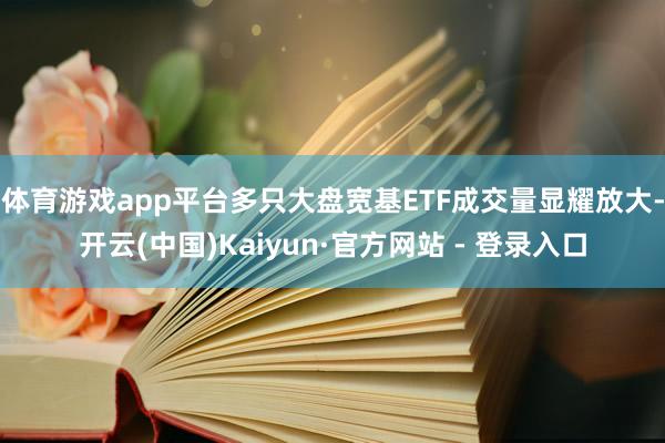 体育游戏app平台多只大盘宽基ETF成交量显耀放大-开云(中国)Kaiyun·官方网站 - 登录入口