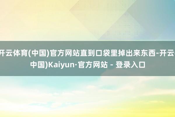 开云体育(中国)官方网站直到口袋里掉出来东西-开云(中国)Kaiyun·官方网站 - 登录入口