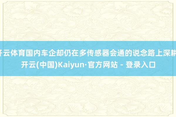 开云体育国内车企却仍在多传感器会通的说念路上深耕-开云(中国)Kaiyun·官方网站 - 登录入口